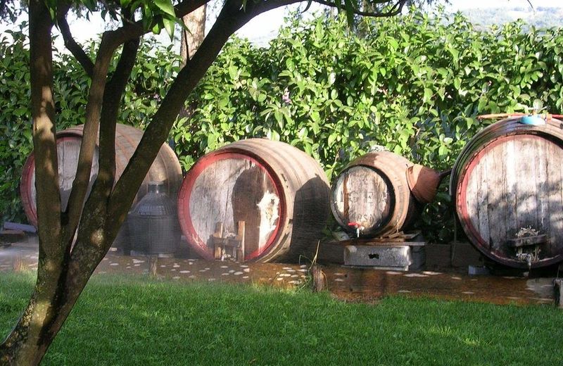 Holiday Home La Palma Castiglione Di Sicilia