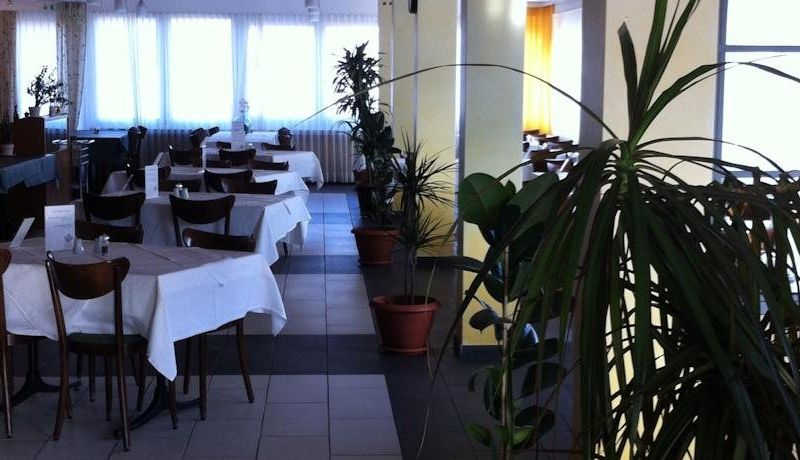 HOTEL ALPINA