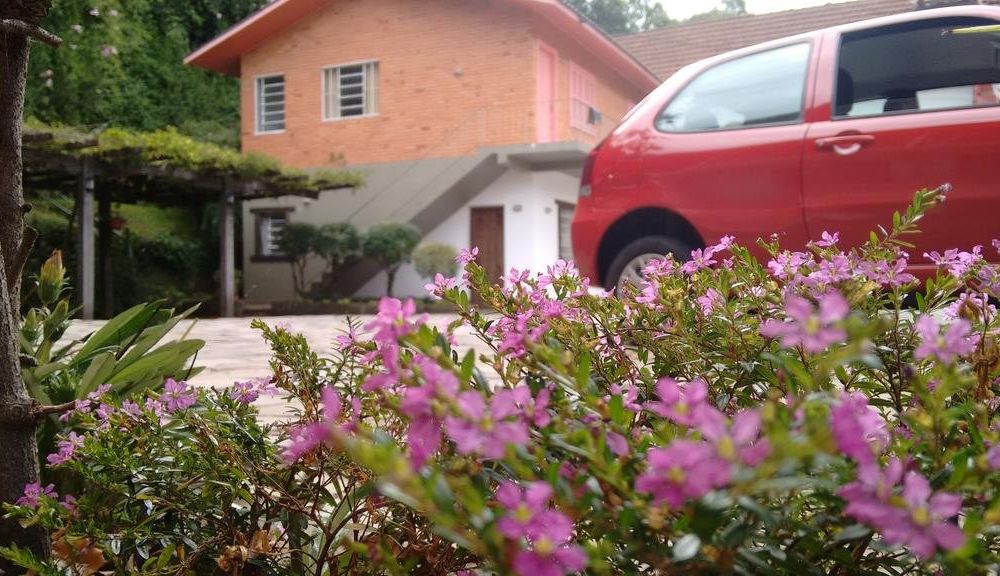 Outdoor Pictures 23