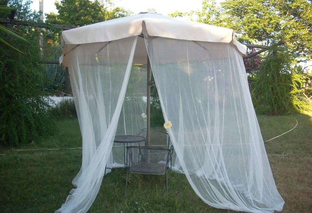 Outdoor Pictures 22
