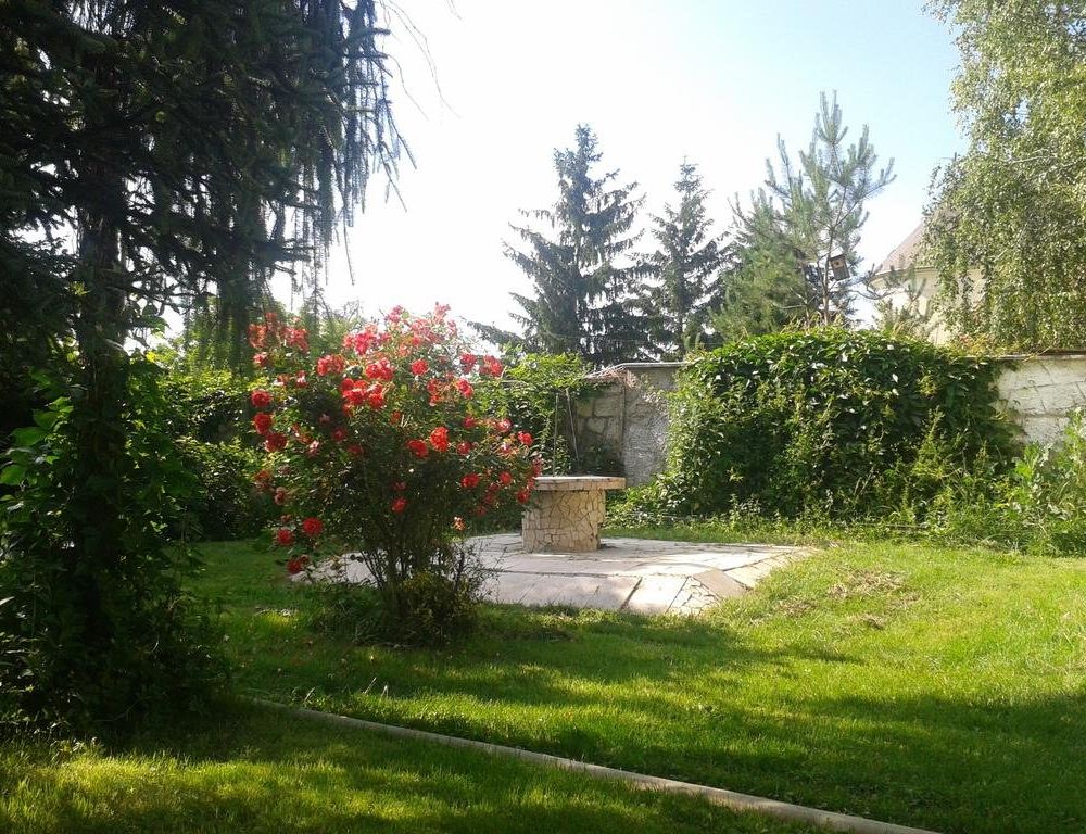 Outdoor Pictures 21