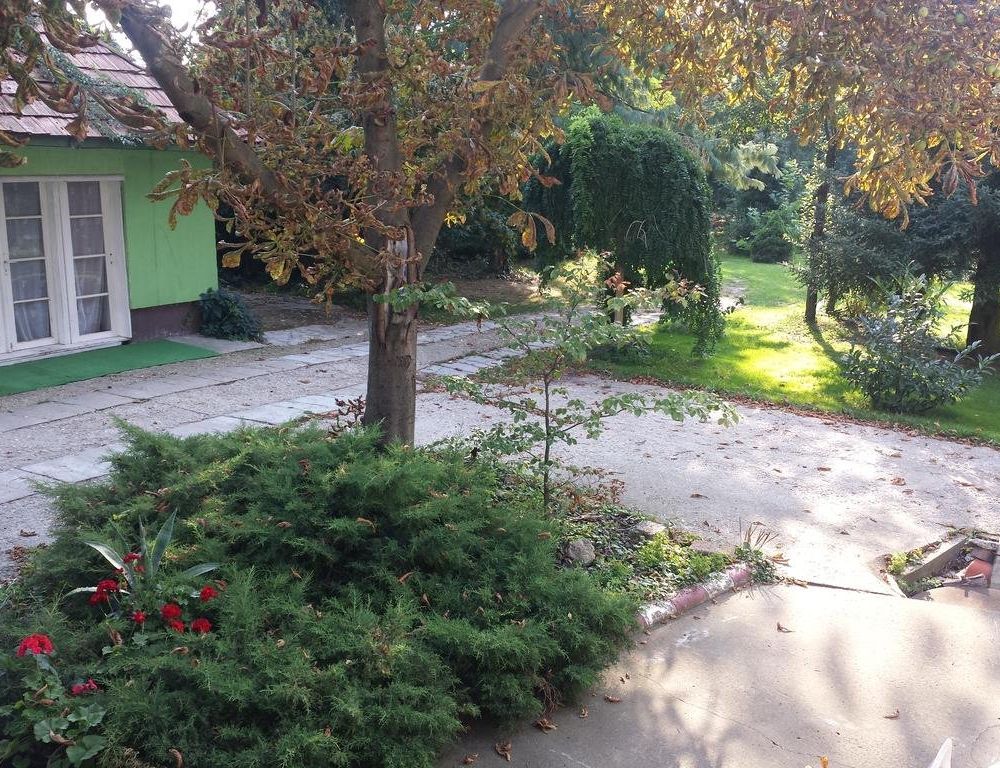 Outdoor Pictures 22