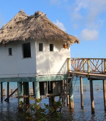 Thatch Caye Resort a Muy'Ono Resort