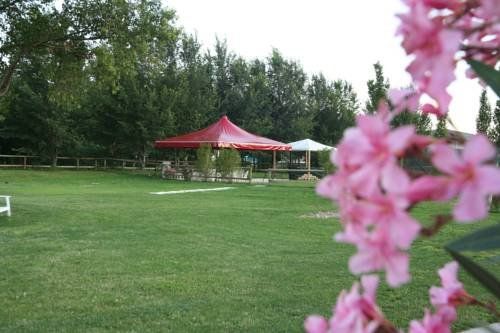 Outdoor Pictures 6