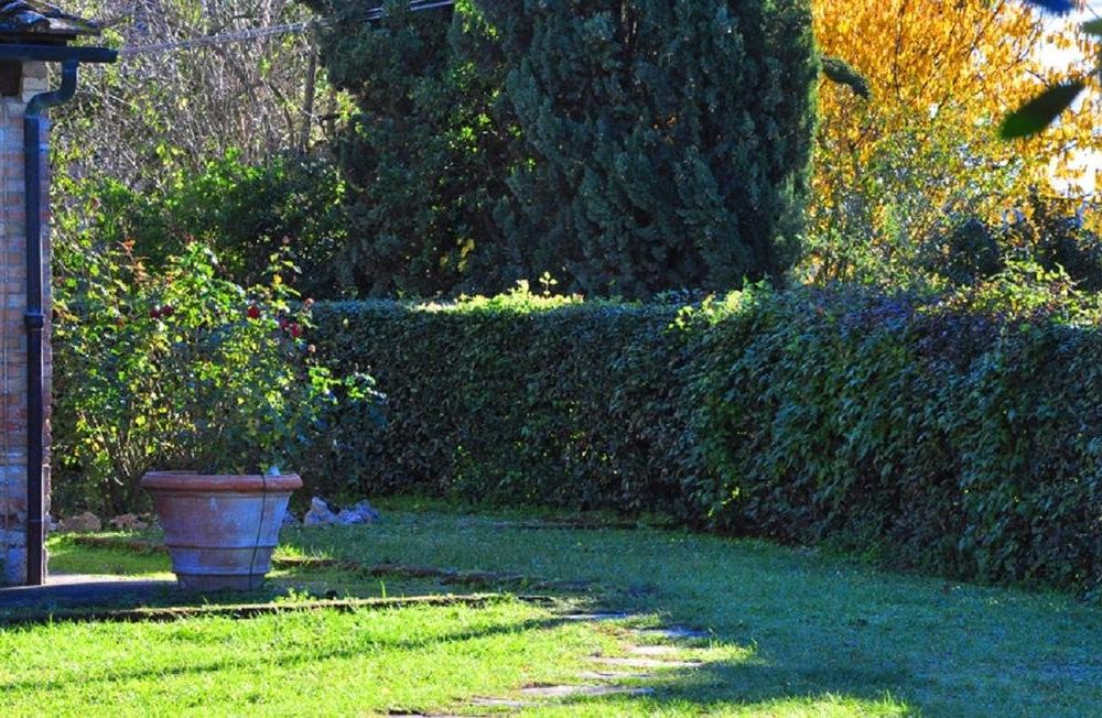 Outdoor Pictures 13
