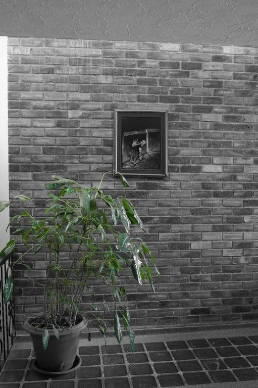 Outdoor Pictures 24