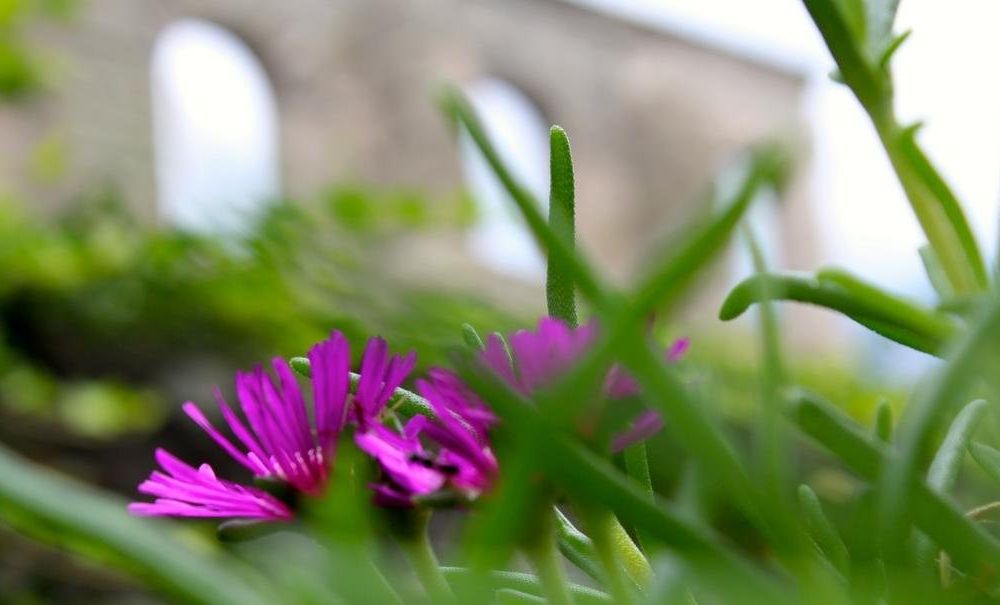 Outdoor Pictures 24