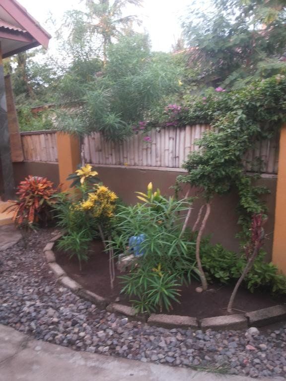 Outdoor Pictures 5