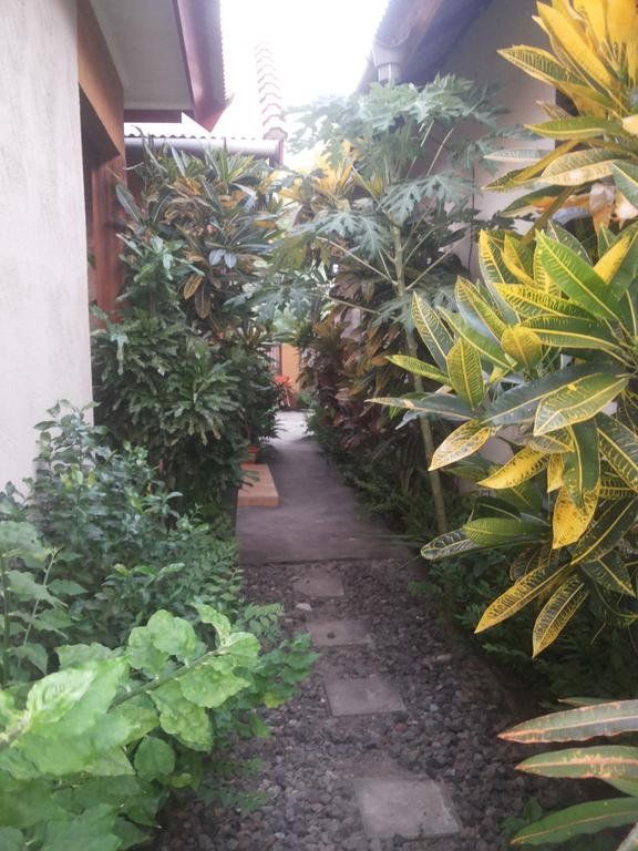 Outdoor Pictures 9
