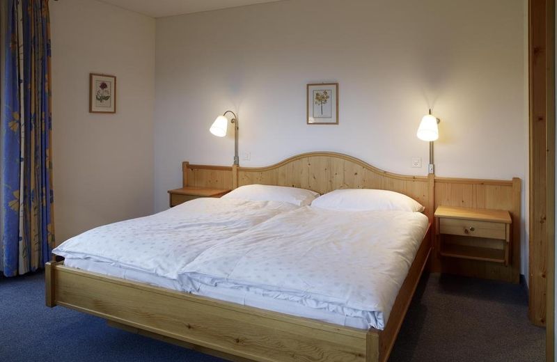 Hotel Alpina Parpan
