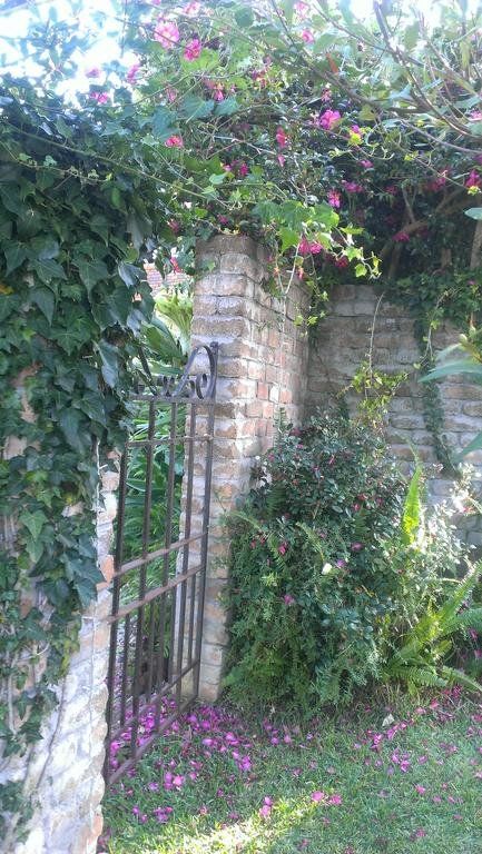 Outdoor Pictures 15