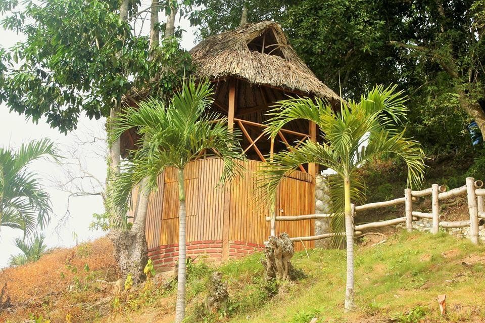 Outdoor Pictures 1