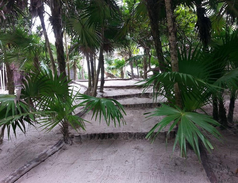 Outdoor Pictures 11