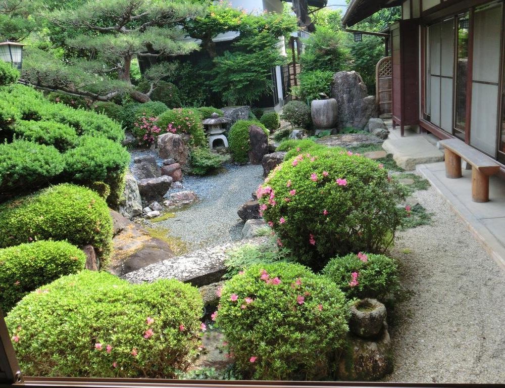 Outdoor Pictures 7