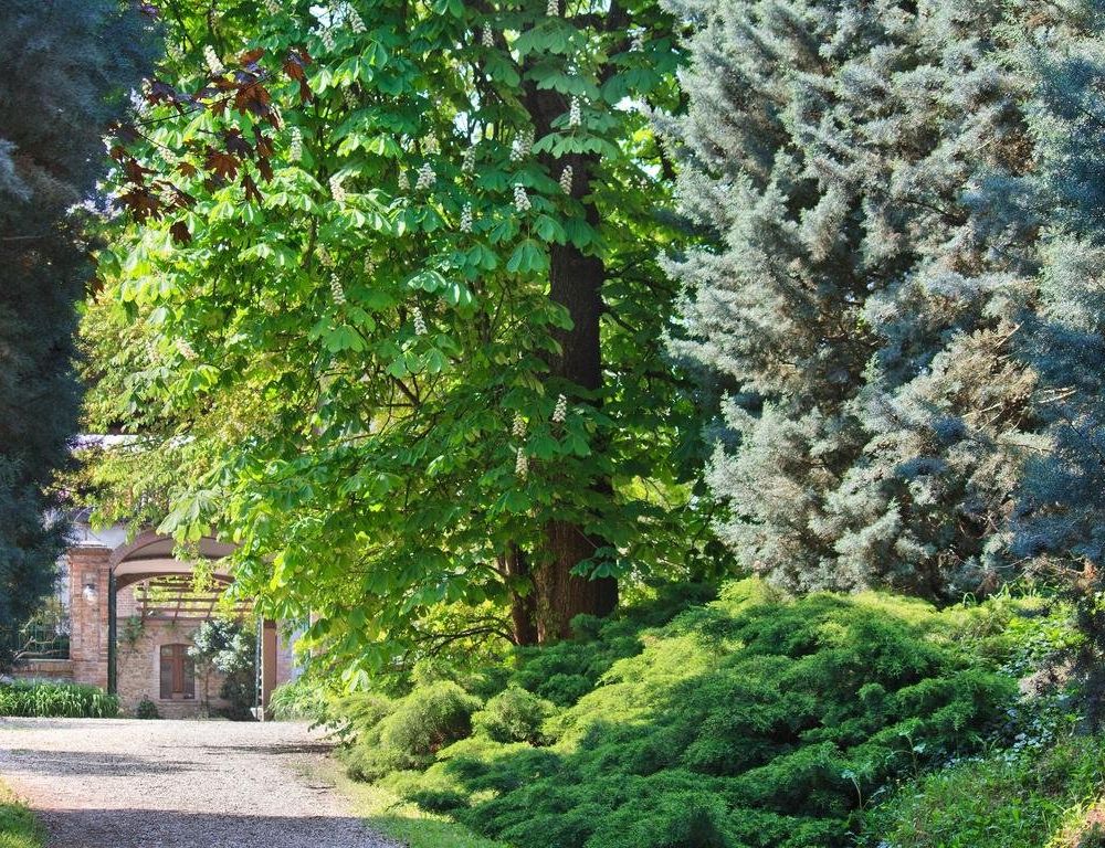Outdoor Pictures 5