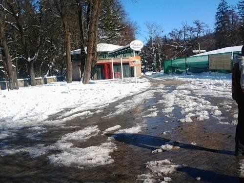 Outdoor Pictures 24