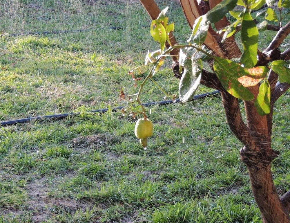 Outdoor Pictures 11