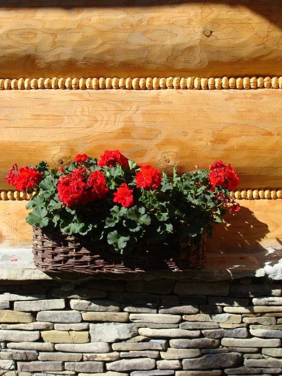 Outdoor Pictures 10