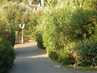 Outdoor Pictures 12