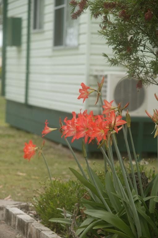 Outdoor Pictures 9