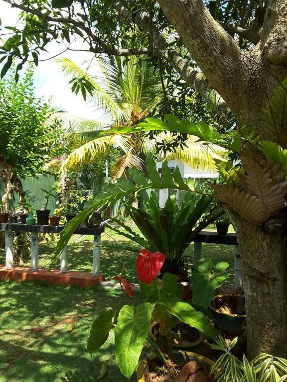 Outdoor Pictures 20