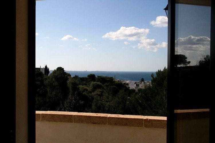 Outdoor Pictures 6