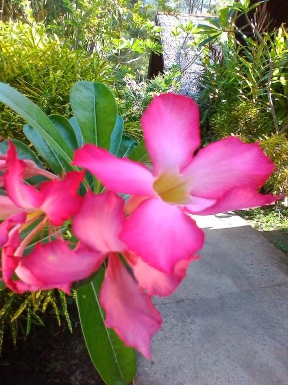 Outdoor Pictures 17