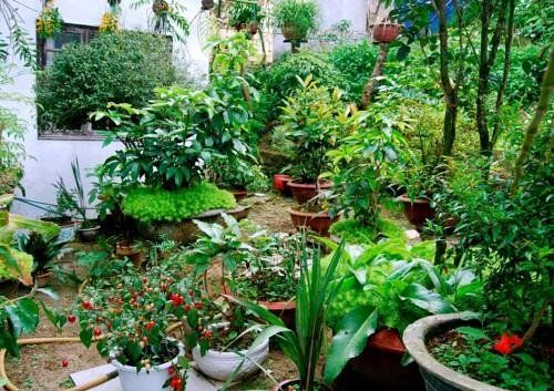 Outdoor Pictures 20