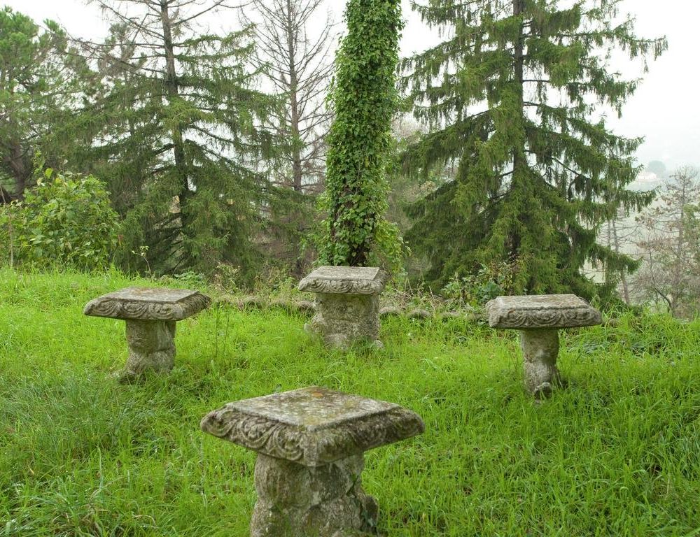 Outdoor Pictures 17