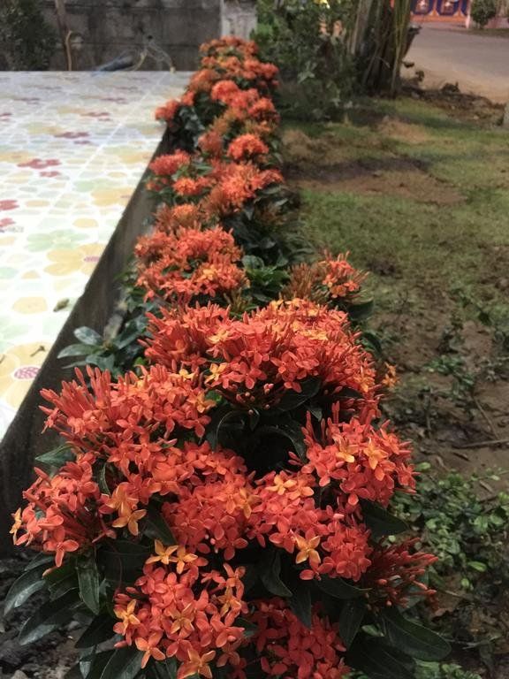 Outdoor Pictures 19
