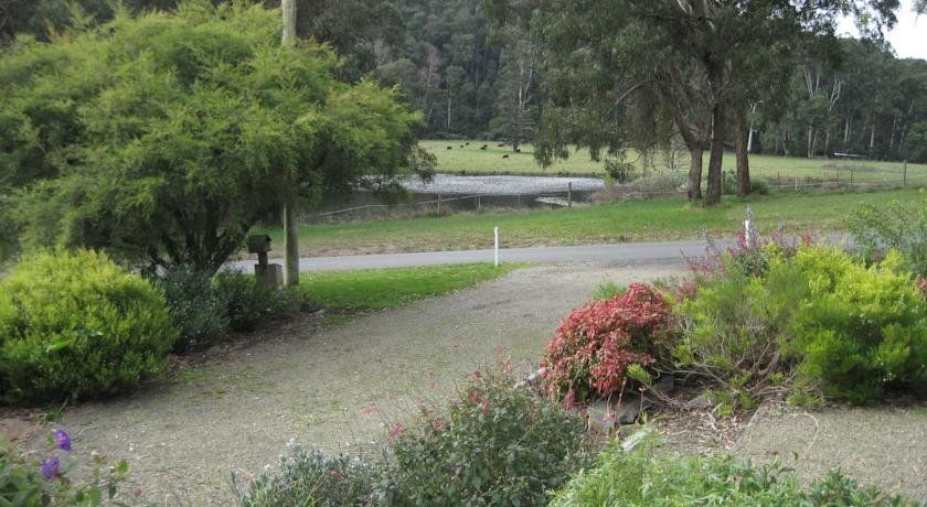 Outdoor Pictures 10