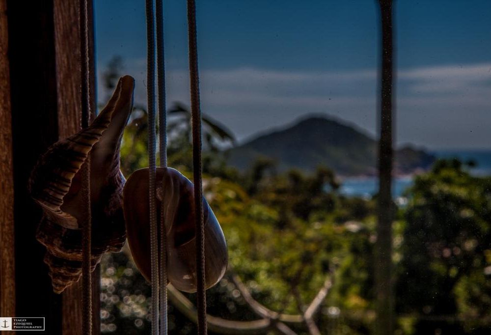 Outdoor Pictures 17