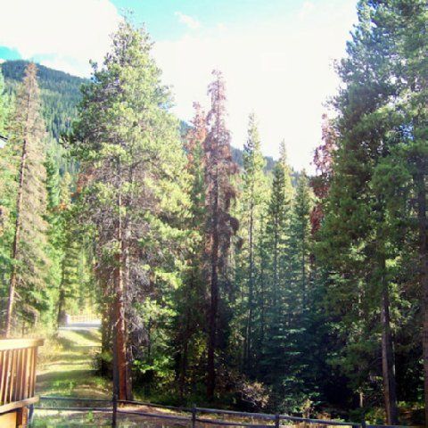 Outdoor Pictures 21