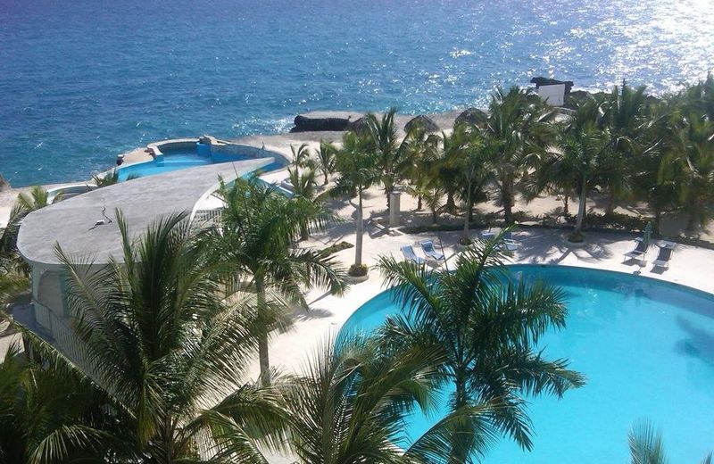 Blue Dominicus