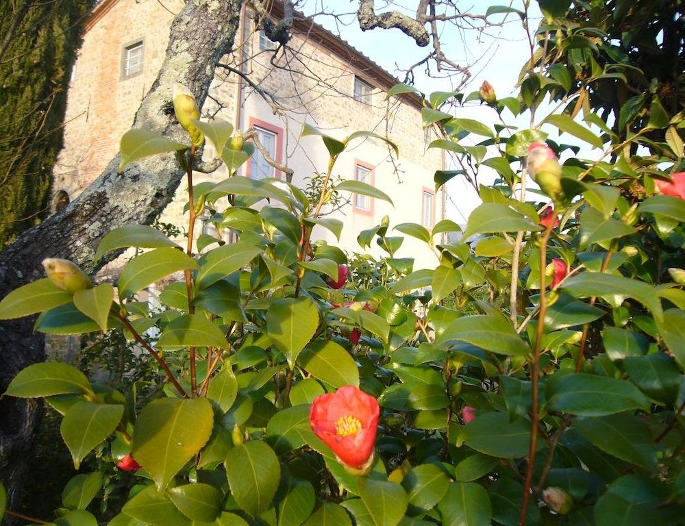 Outdoor Pictures 4