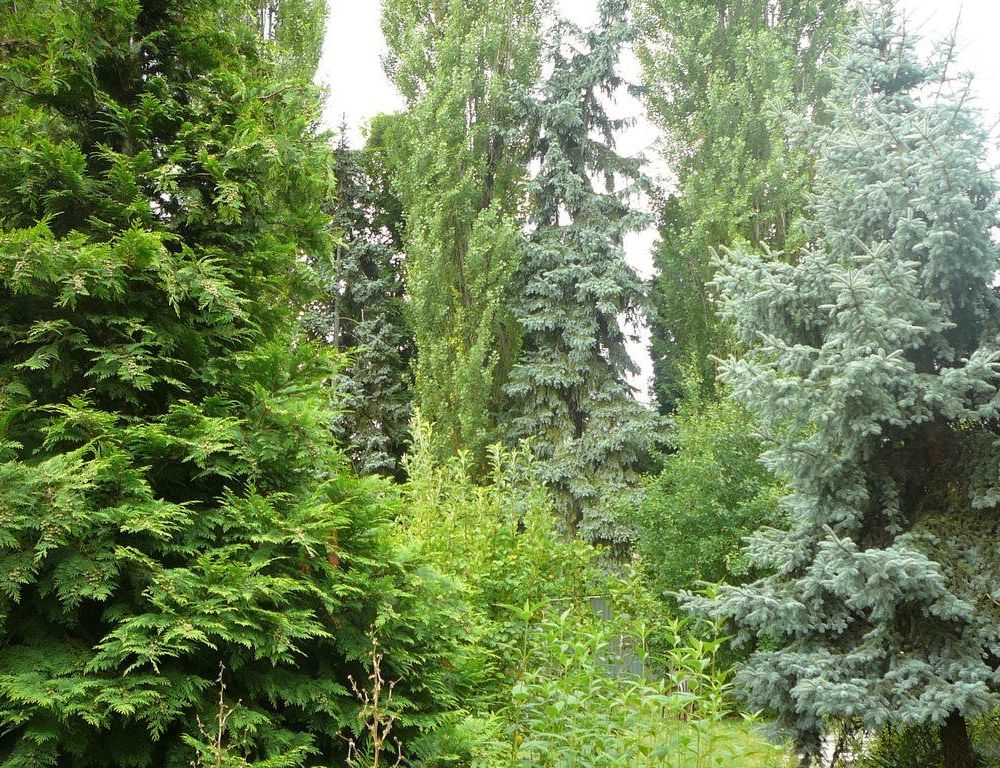Outdoor Pictures 22
