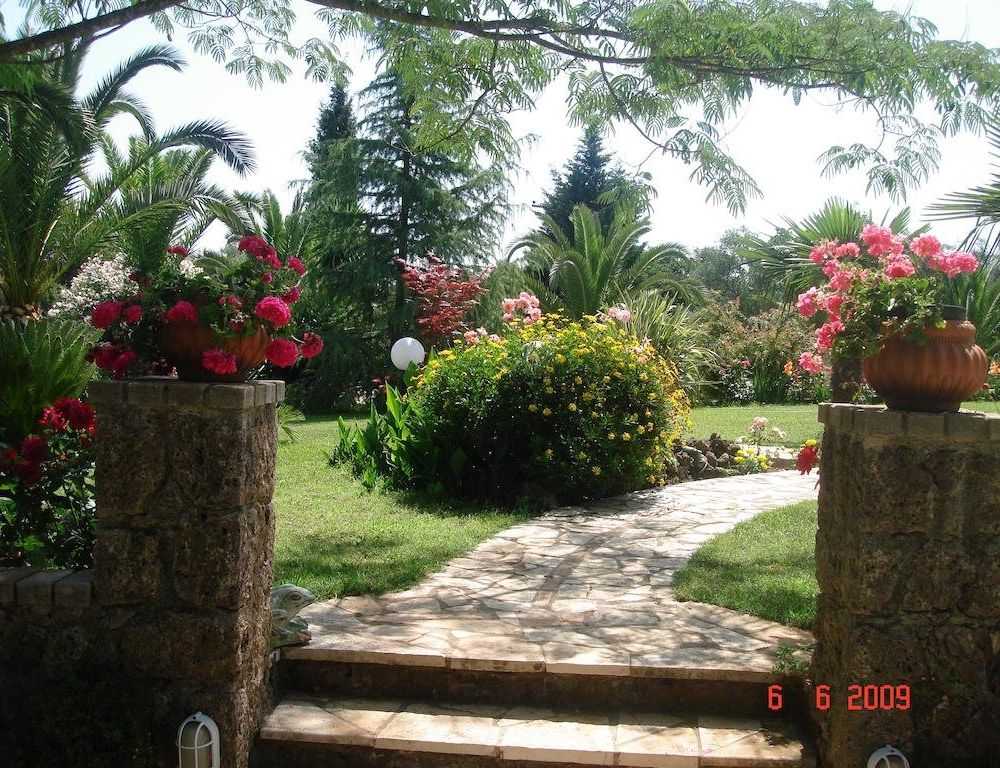 Outdoor Pictures 17