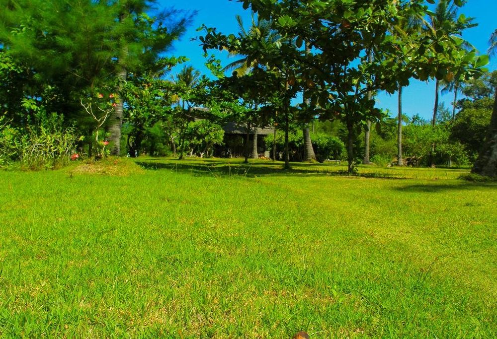 Outdoor Pictures 12