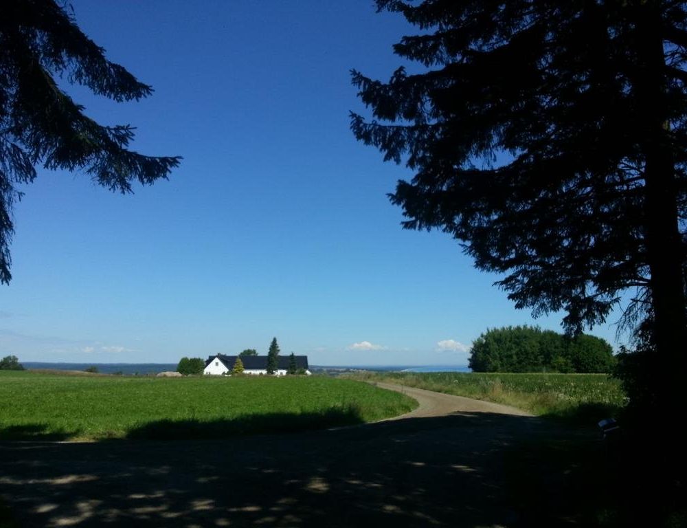 Outdoor Pictures 23