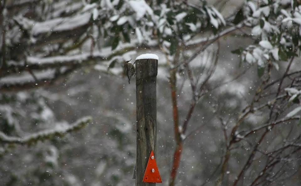 Outdoor Pictures 10