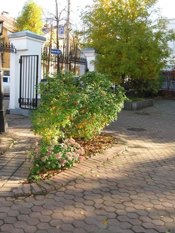 Outdoor Pictures 9