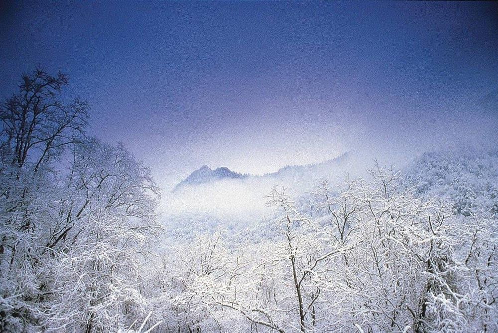 Outdoor Pictures 20