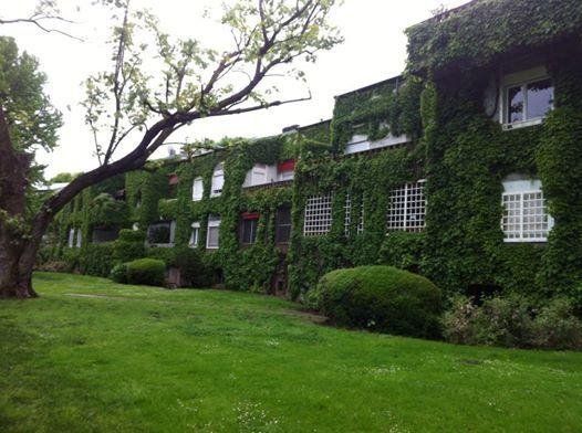 Outdoor Pictures 11