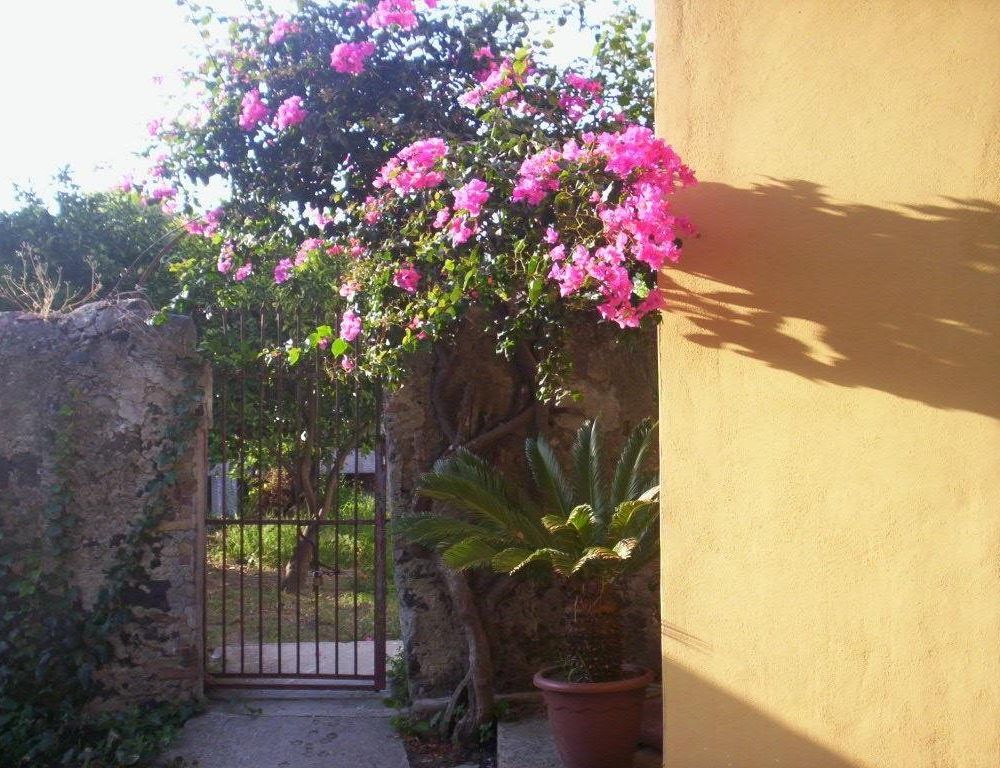 Outdoor Pictures 5
