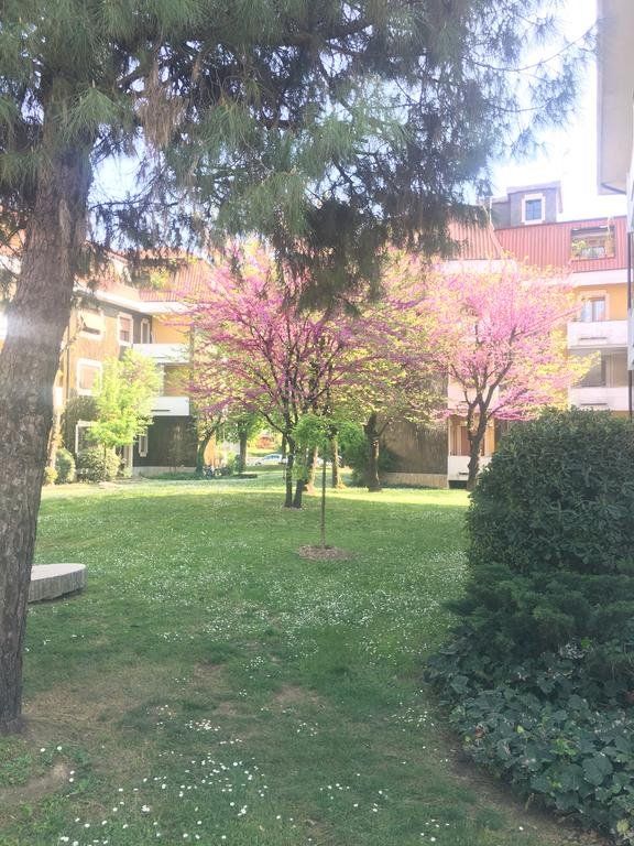 Outdoor Pictures 20