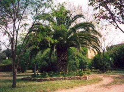 Outdoor Pictures 15