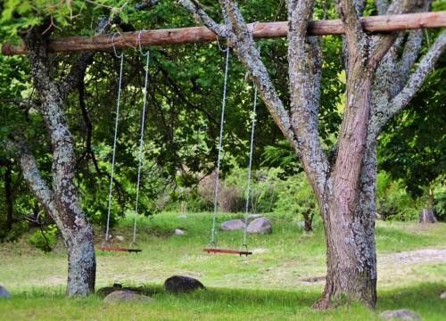 Outdoor Pictures 7