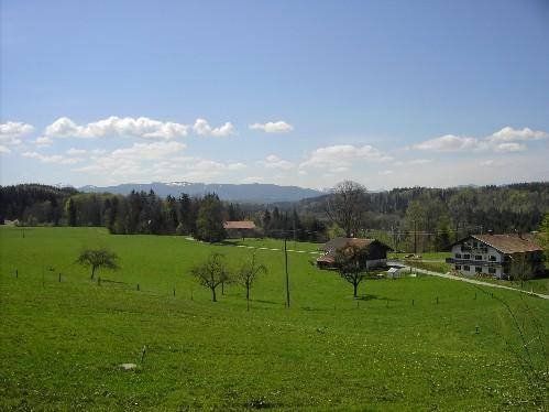 Outdoor Pictures 9