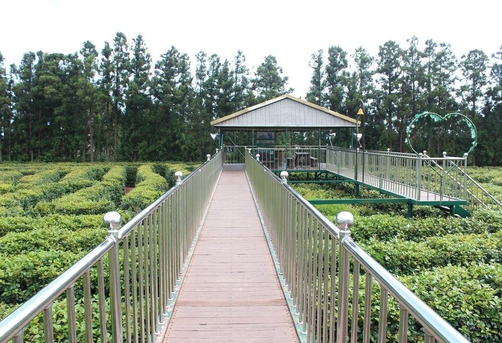 Outdoor Pictures 1