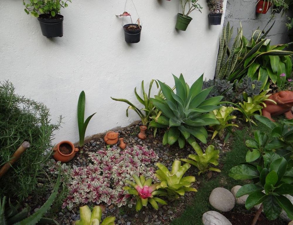 Outdoor Pictures 7
